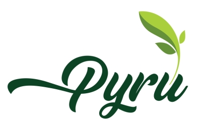 Pyru Device mark 5795655 Trademark