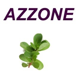Azzone (device) Device mark 5808515 Trademark