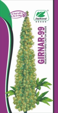Girnar -99 (label) Device mark 5809258 Trademark