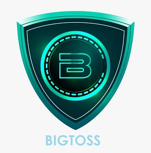 Bigtoss Device mark 5809990 Trademark