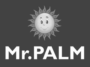 Mr. Palm Device mark 5811852 Trademark
