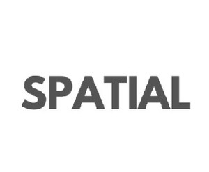 Spatial Device mark 5818419 Trademark
