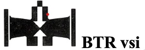 Btr Vsi Device mark 5827945 Trademark