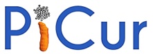 Picur Device mark 5830974 Trademark