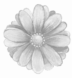 Device Device mark 5833074 Trademark