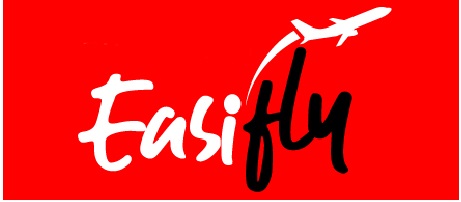 Easifly Device mark 5850963 Trademark
