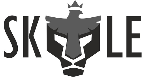 Skyle Device mark 5861497 Trademark