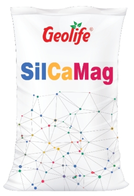 Geolife Silcamag Device mark 5873299 Trademark