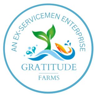Device For Gratitude Farms Device mark 5874885 Trademark