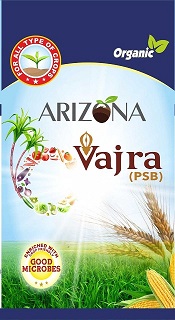 Arizona Vajra Device mark 5875351 Trademark