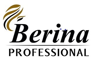 Berina Professional Device mark 5875641 Trademark