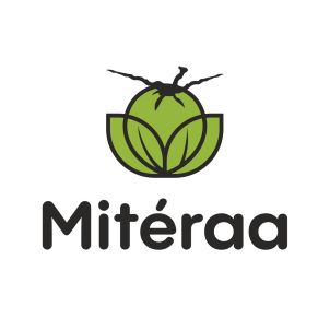 Miteraa Device mark 5892052 Trademark