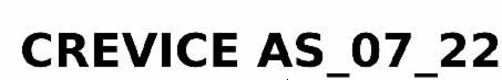 Crevice As-07-22 (label) Device mark 5900721 Trademark