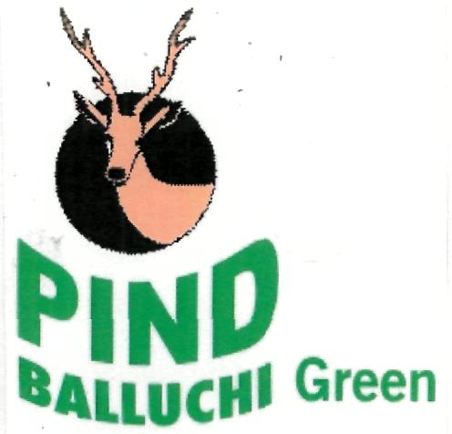 Pind Balluchi Green Device mark 5902360 Trademark