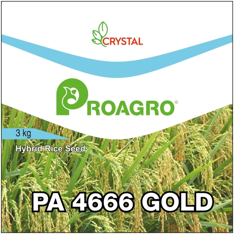 Pa 4666 Gold Device mark 5909357 Trademark