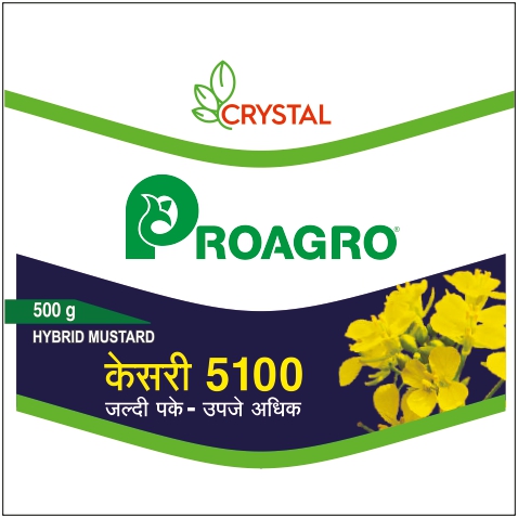 Kesari 5100 Device mark 5910342 Trademark