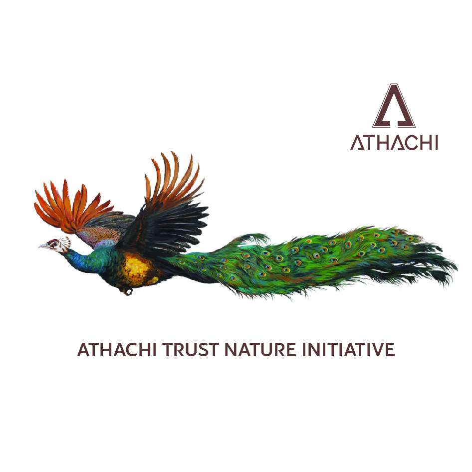 Athachi(device Of A), Athachi Trust Nature Initiative Device mark 5916911 Trademark