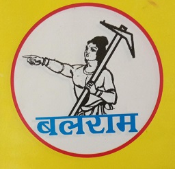 Balram Device mark 5917558 Trademark