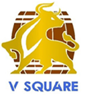 Vsquare Device mark 5925334 Trademark