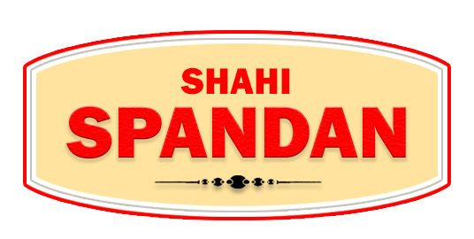 Shahi Spandan Device mark 5930240 Trademark