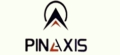 Pinaxis Elevator India Private Limited Device mark 5932556 Trademark