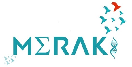 Meraki Device mark 5937283 Trademark