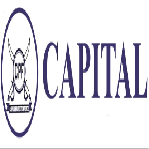 Capital Device mark 5940305 Trademark