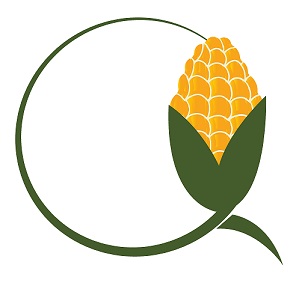 Q Device mark 5944314 Trademark