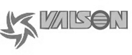 Valson With Logo Device mark 5953642 Trademark