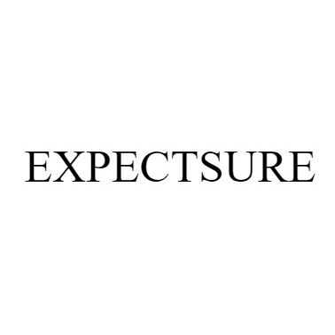 Expectsure Device mark 5953990 Trademark