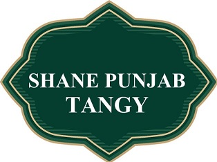 Shane Punjab Tangy Device mark 5958867 Trademark