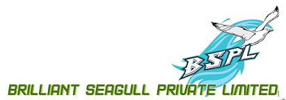 Brilliant Seagull Private Limited Device mark 5975238 Trademark