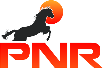 Pnr Device mark 5982994 Trademark