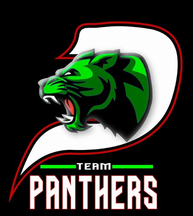 P Team Panthers Device mark 5985831 Trademark