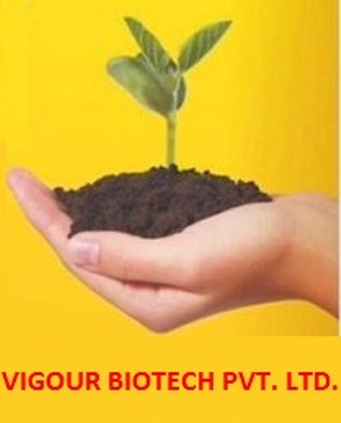 Vigour Biotech Pvt. Ltd. Device mark 6000481 Trademark
