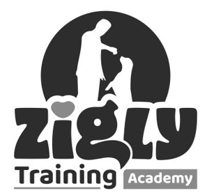 Zigly Logo Device mark 5999360 Trademark