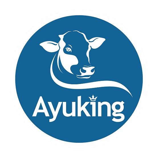 Ayuking Device mark 6003335 Trademark