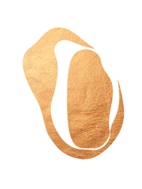 O Logo Device mark 6003503 Trademark