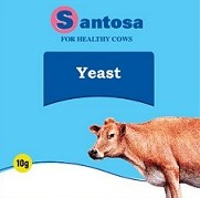 Santosa For Healthy Cows Yeast Device mark 6007782 Trademark