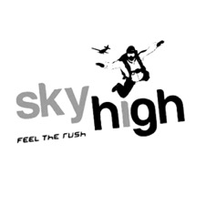 Skyhigh Device mark 6008680 Trademark