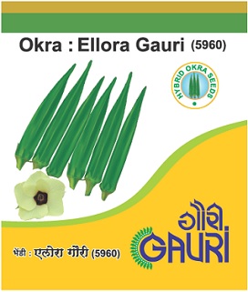Ellora Gauri (1960) Device mark 6029060 Trademark