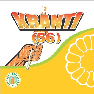 Kranti (56) Device mark 6029061 Trademark