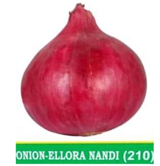 Onion- Ellora Nandi (210) Device mark 6029065 Trademark