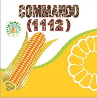 Commando (1112) Device mark 6029062 Trademark