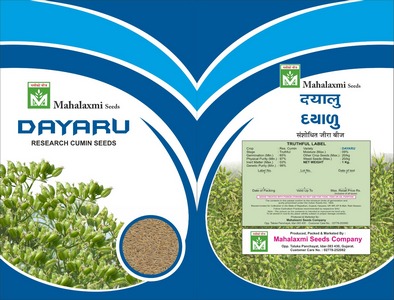 Dayaru Device mark 6054507 Trademark