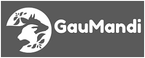 Gaumandi (with Device) Device mark 6031170 Trademark
