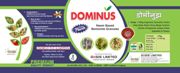 Dominus With Logo Of Oasis, Many Devices And Other Matters-label Device mark 6035180 Trademark
