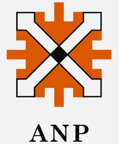 Anp Device mark 6041343 Trademark