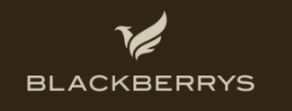 Blackberrys Device mark 6042527 Trademark