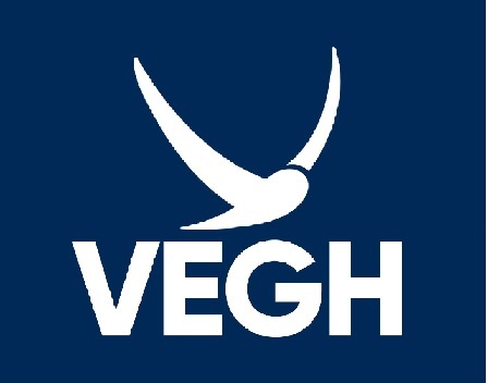 Vegh Device mark 6044987 Trademark